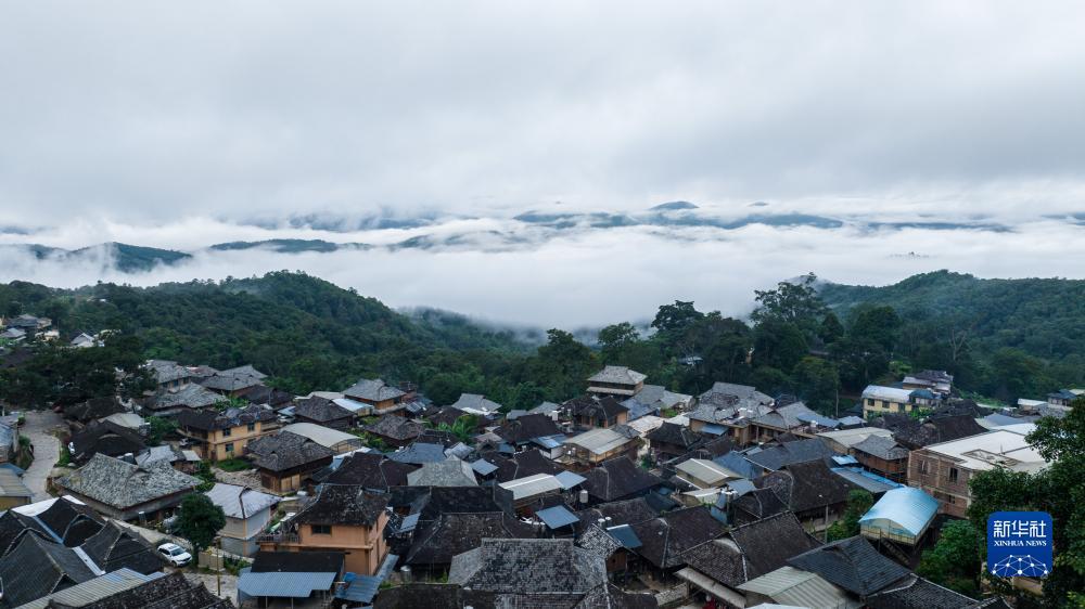 现金斗牛送金币